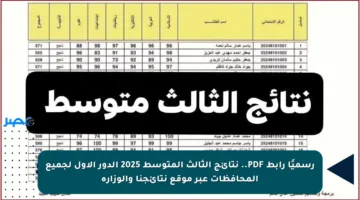 رسميًا رابط PDF.. نتائج الثالث المتوسط 2025 الدور الأول لجميع المحافظات عبر موقع نتائجنا والوزارة